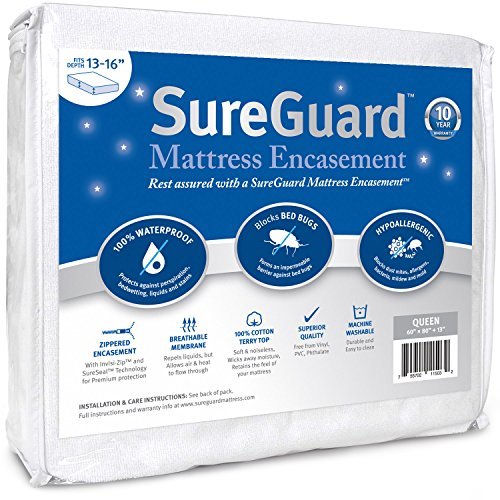 10 Best Mold on Mattress Protector: Keep Your Bed Fresh & Healthy
