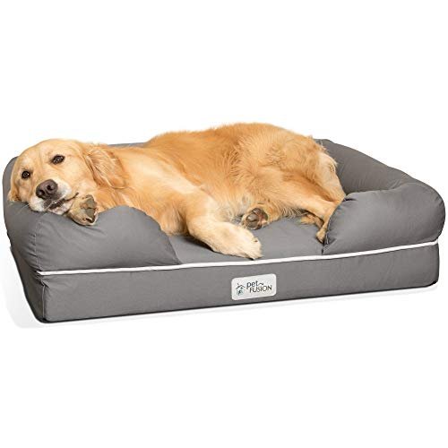 Ultimate Guide to the Best Pet Smart Dog Bed